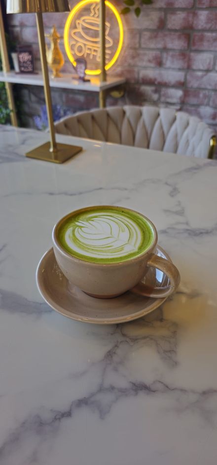 Matcha (Hot Milk)
